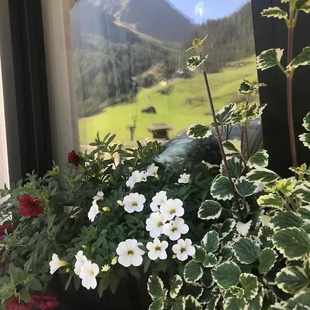 Gries * לאנגנפלד