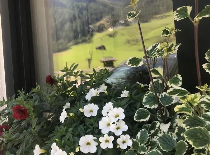 Gries * 朗根费尔德