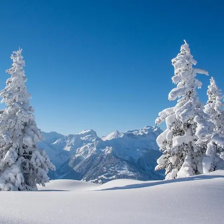 Gries * Лангенфельд