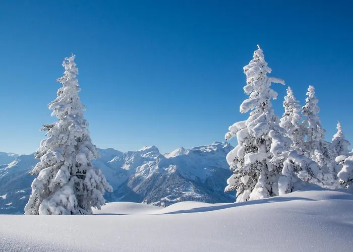 Gries * Лангенфельд